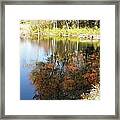 A Perfect Reflection Of Beauty Framed Print