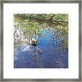 A Rock In A Stream Framed Print