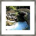 A Stream In Provence Framed Print