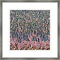 A Thousand Flags Framed Print