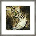 A Time To Shed Framed Print
