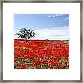 A Tree In A Red Sea Framed Print