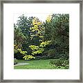 A Walk In The Park Framed Print
