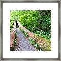 A Well Marked Path Framed Print