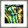 Abalone Abstract Framed Print