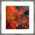 Abstract 269 Framed Print