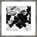 Abstract Flowers 4 Framed Print