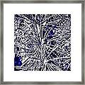 Abstract Nature 3 Framed Print