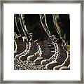 Afghan National Army Air Corp Soldiers Framed Print