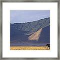 African Elephant In Ngorongoro Crater Framed Print