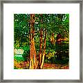 Afternoon Delight Framed Print