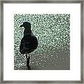 Afternoon Walk Framed Print