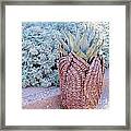 Agave Blues Framed Print