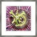 Alienated Framed Print