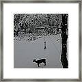 All Alone In Search Framed Print