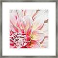 An Angled Beauty Framed Print