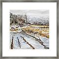 Ancient Path Framed Print