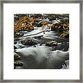 Ancient River In Great Smoky Mountains Framed Print