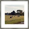 And A Crop In The Field Framed Print