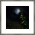 And Dance By The Light Of The Moon Framed Print