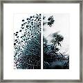 Andante Framed Print