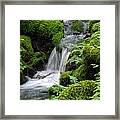 Annadel Waterfall Framed Print