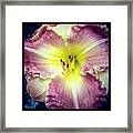 Another #hot But #beautiful Day For Framed Print