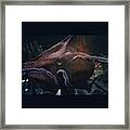 Another Sea Creature :) Framed Print