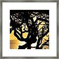 Archway Of Beauty Framed Print