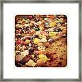 Are You Able To Spot All The #pikachu? Framed Print