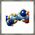 Arginine, Molecular Model Framed Print