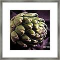 Artichoke Framed Print