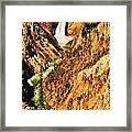 Artist View Framed Print