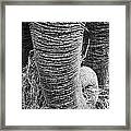 Asian Elephant Trunk Framed Print