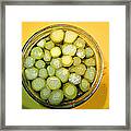 Asparagus In A Jar Framed Print