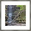 At The Falls Framed Print