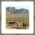 At Trail's End Framed Print