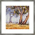 Australian Gums Framed Print