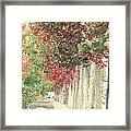 Autumn And Fall Framed Print