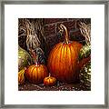 Autumn - Gourd - Family Get Together Framed Print
