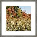 Autumn In New England Framed Print