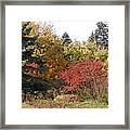 Autumn Landscape Framed Print