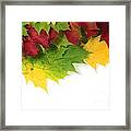 Autumn Leaves In Colour Framed Print