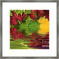 Autumn Leaves In Water With Reflection Framed Print
