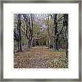 Autumn Path Framed Print
