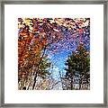 Autumn Reflection Framed Print