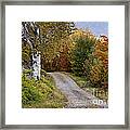 Autumn Road - D005840 Framed Print