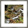 Autumn Rushing By Framed Print