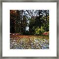 Autumn Scene Framed Print