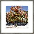 Autumn Snow Framed Print
